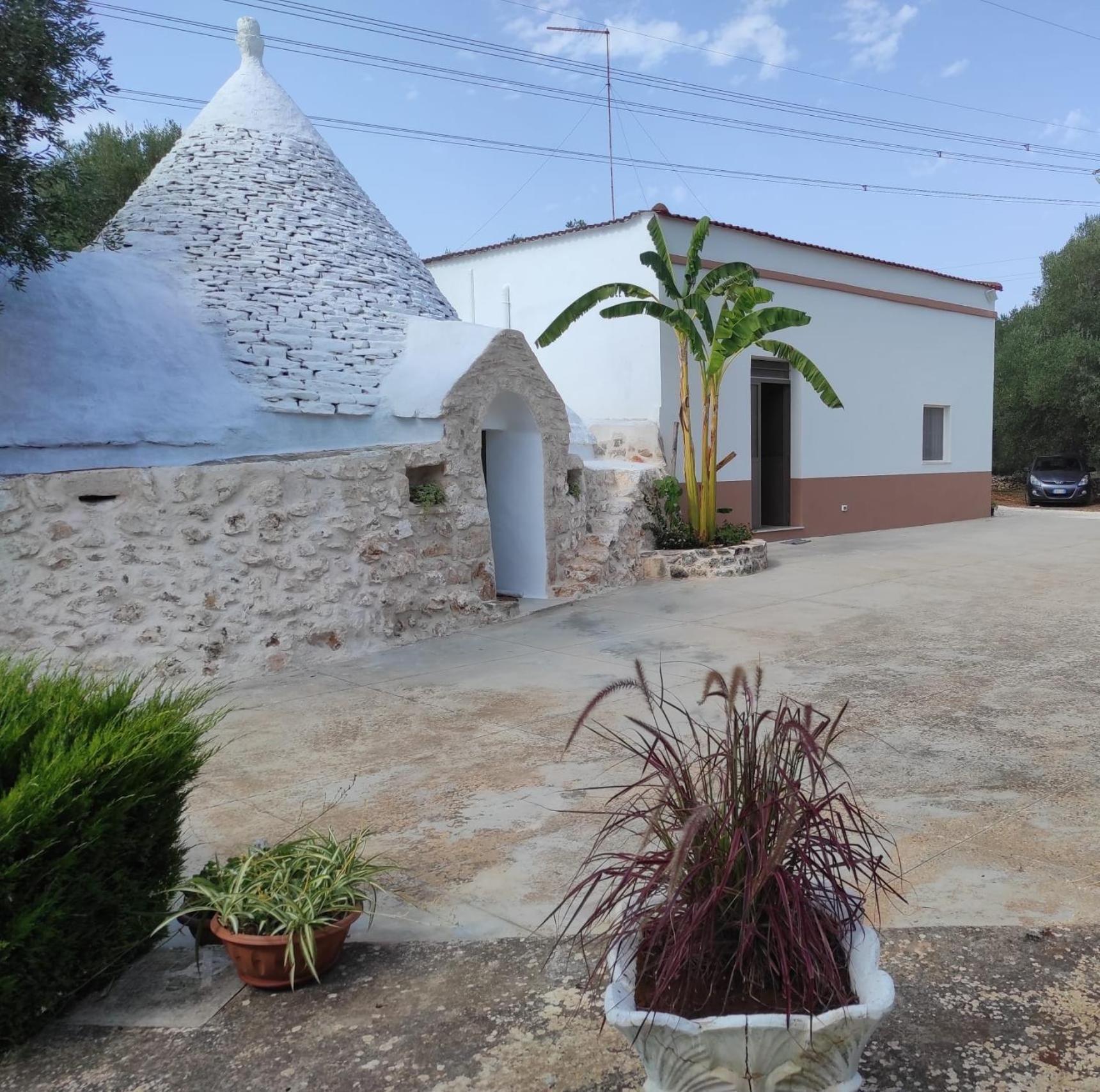 Il Trullo Di Nonno Mingo Villa Ceglie Messapica Ngoại thất bức ảnh