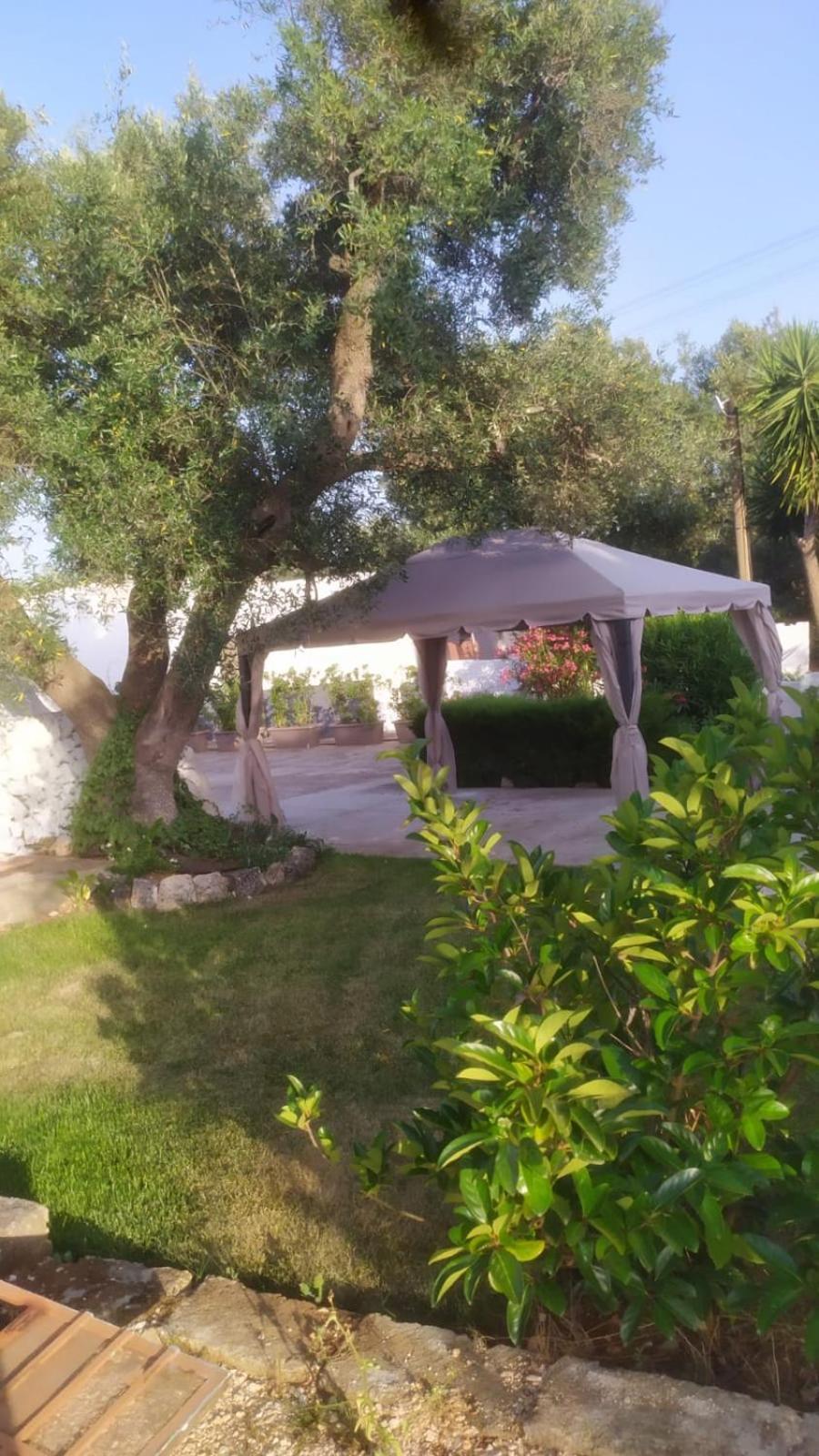 Il Trullo Di Nonno Mingo Villa Ceglie Messapica Ngoại thất bức ảnh